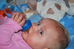 备孕期男方喝酒了怀孕了胎儿健康吗? 备孕期男方喝酒了怀孕了胎儿健康吗?